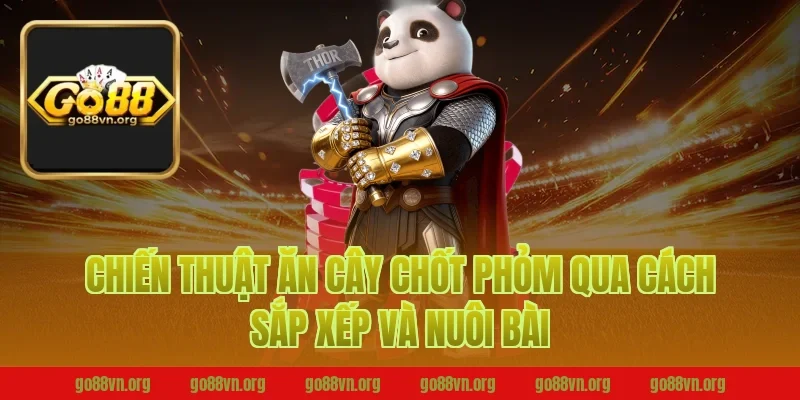 Chiến thuật ăn cây chốt phỏm B52 qua cách sắp xếp và nuôi bài